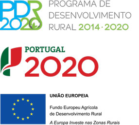 Selos Projeto 2020
